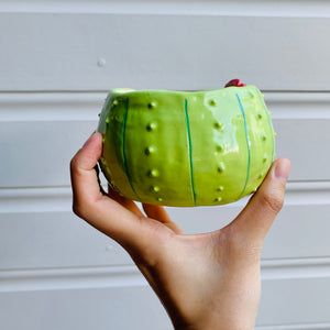 Flowery cactus pot with Totoro friend