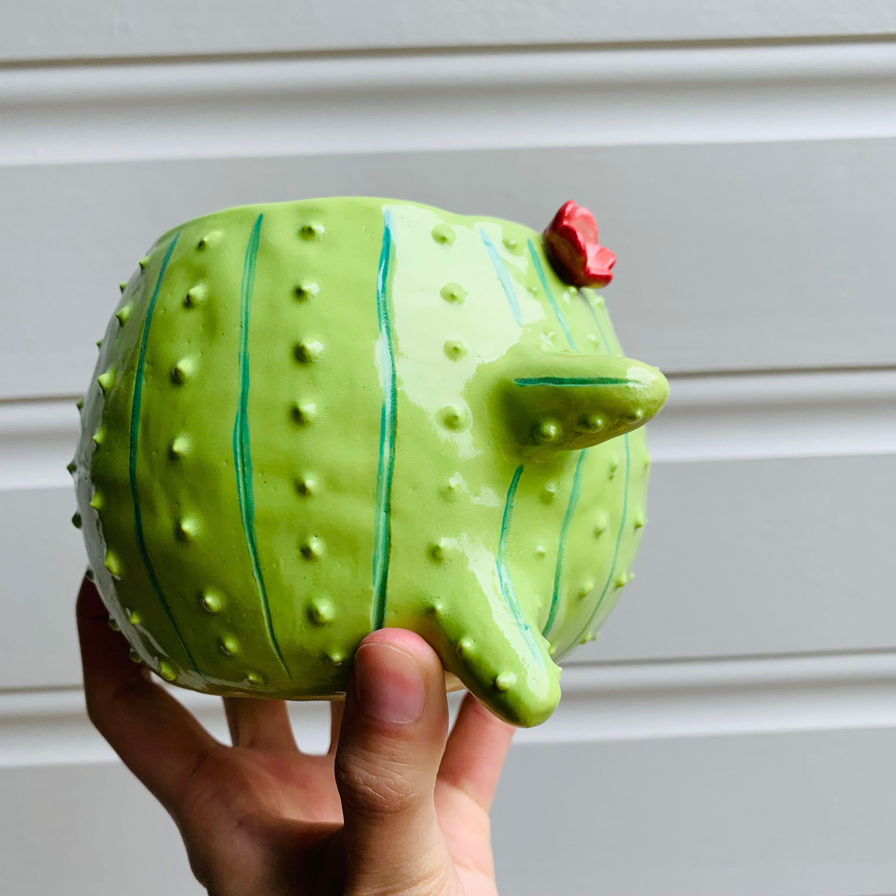 Rotund flowery cactus pot with cat friend