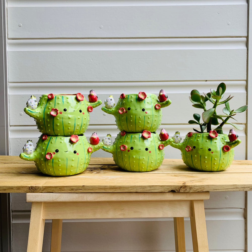 Flowery cactus pot with Aussie bird friends, photo 7 of 7