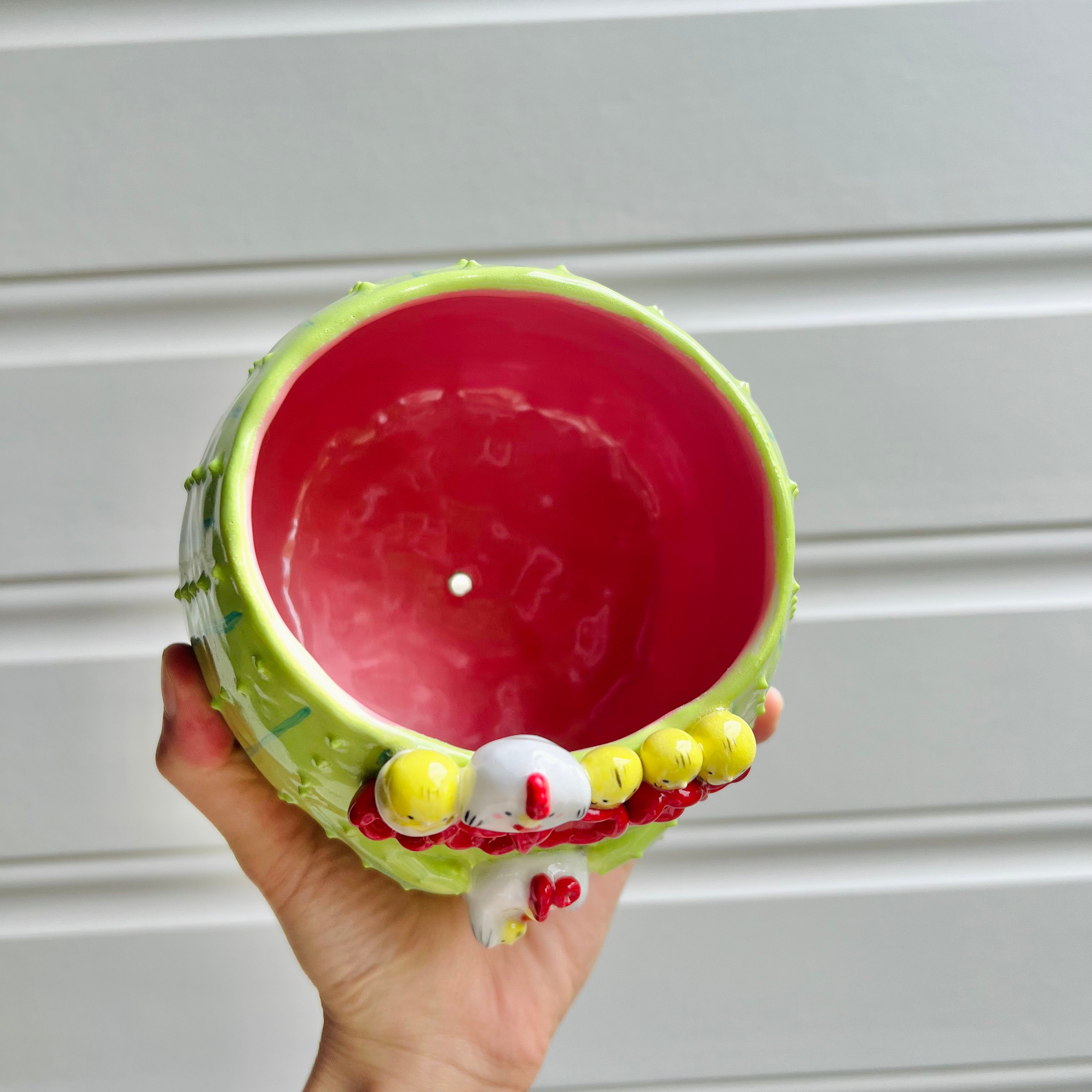 Flower/chicken crown cactus pot with chicken friends