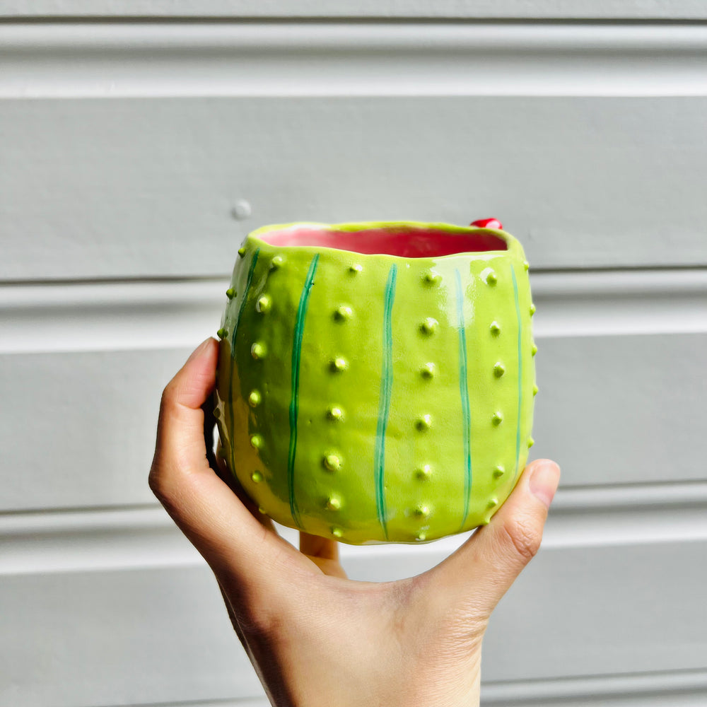 Flowery Cactus pot with pig friend, photo 4 of 6
