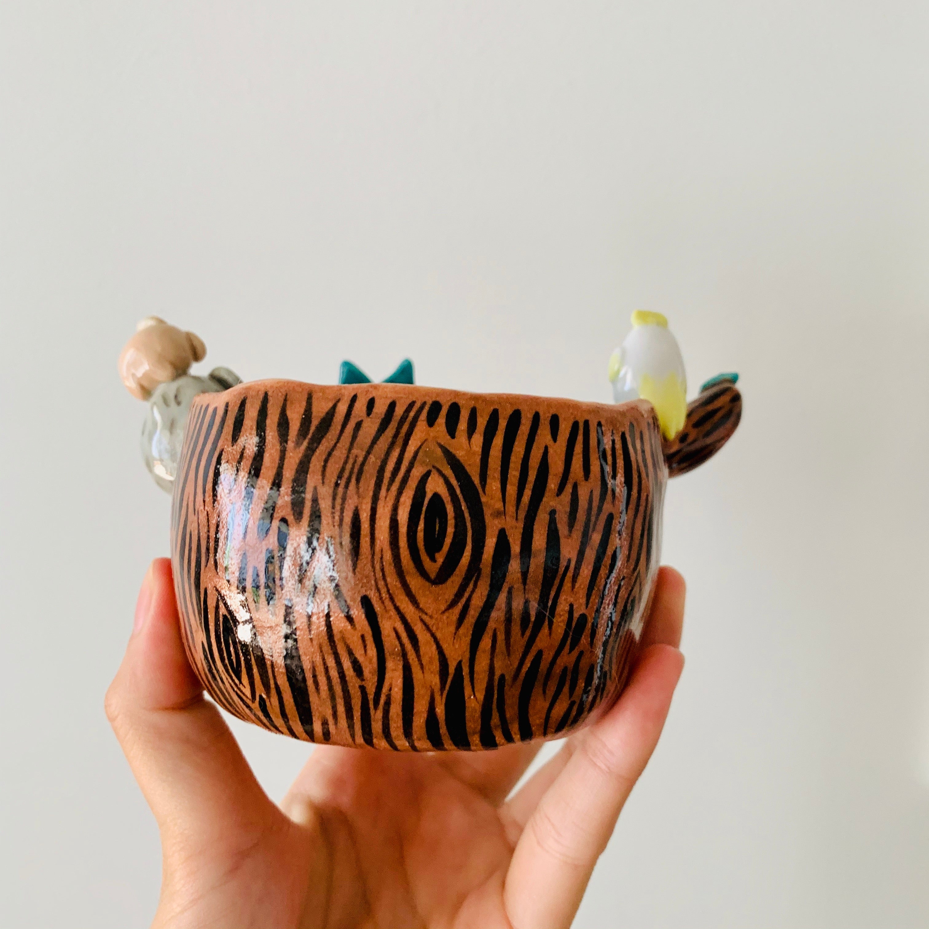 ‘Aussie Hope’ pot