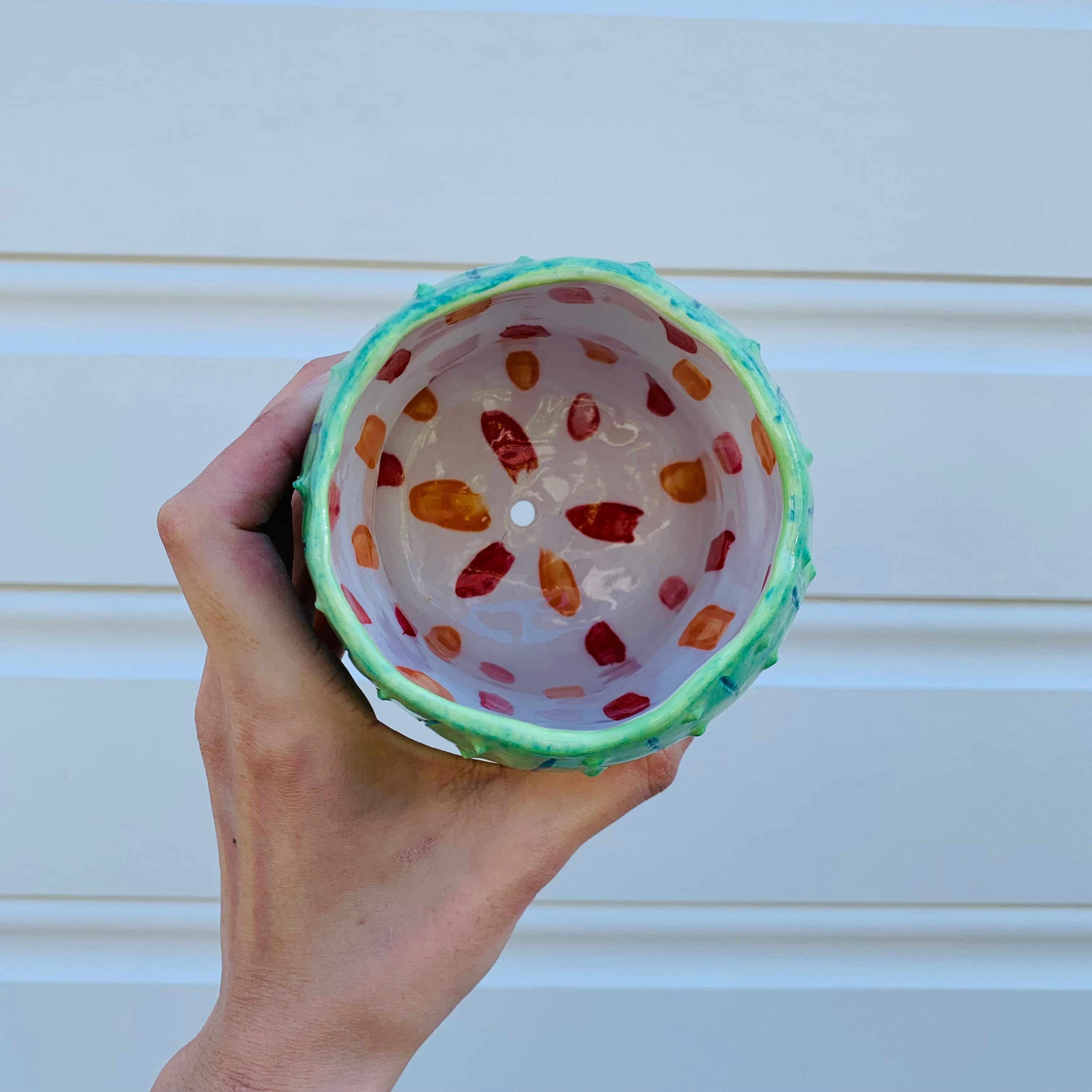 Peanut shape cactus pot planter