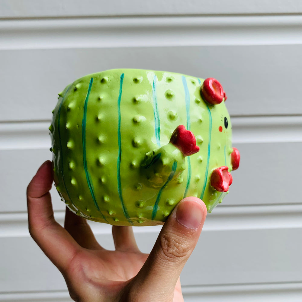 Flowery cactus pot, photo 3 of 9