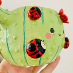 Flowery cactus pot with lady bug friends