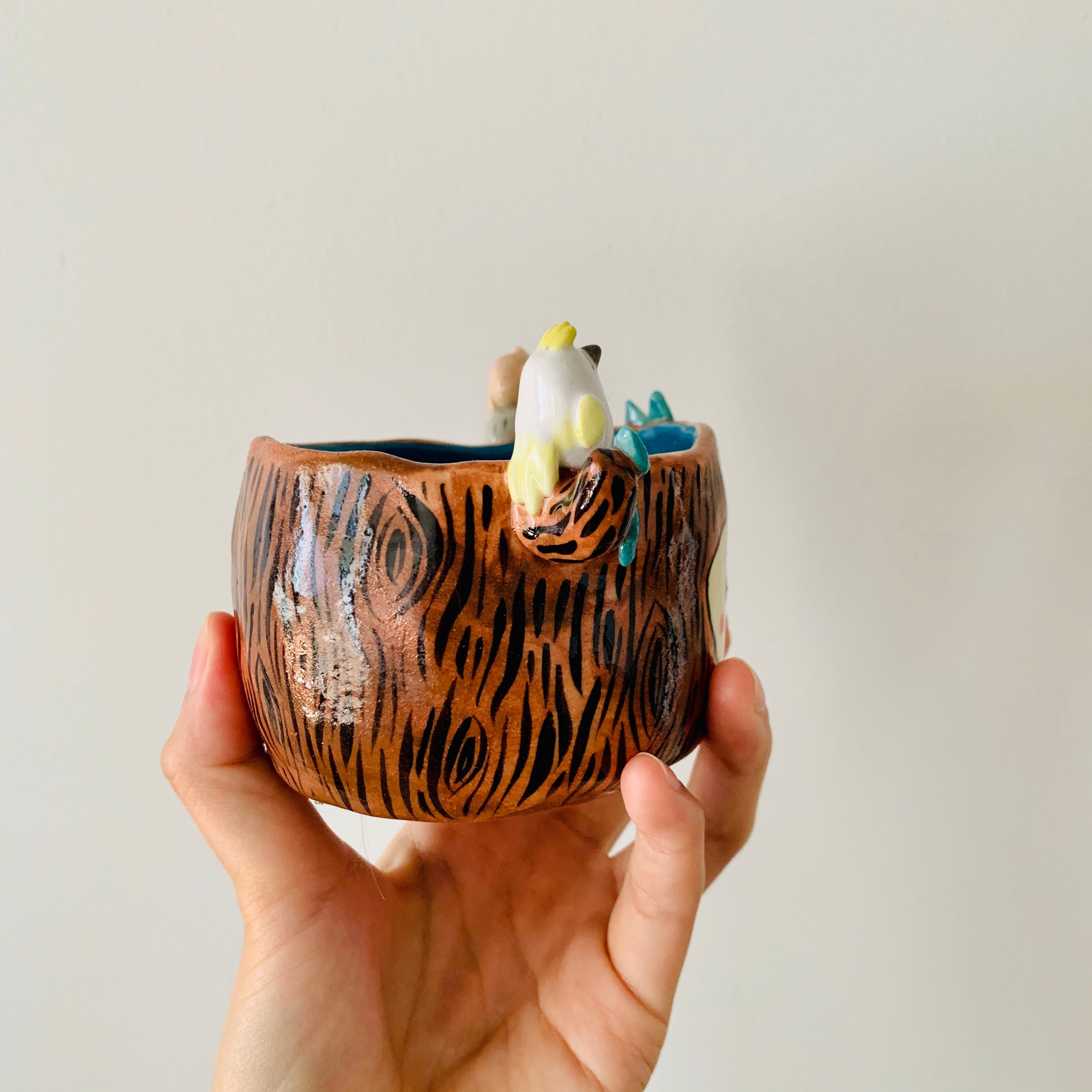 ‘Aussie Hope’ pot
