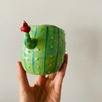 Flowery cactus pot with koala friend