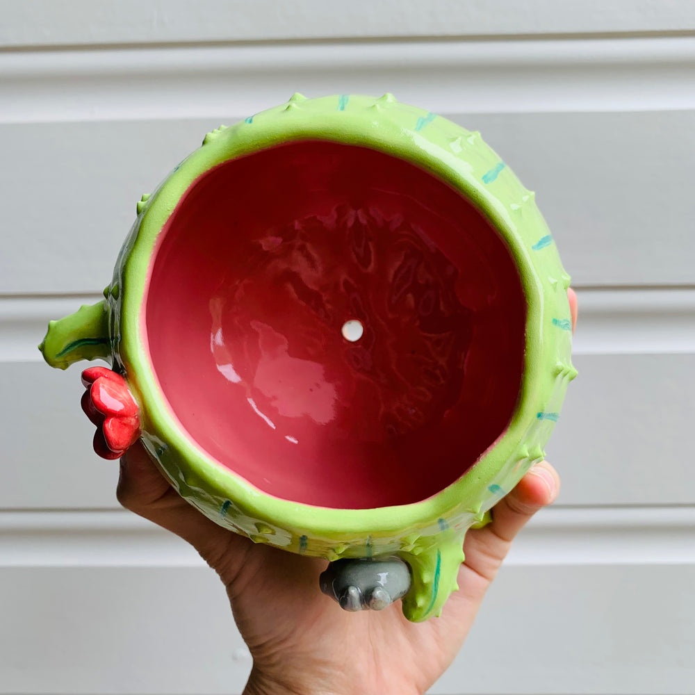 Rotund flowery pot cactus Totoro friend, photo 5 of 6