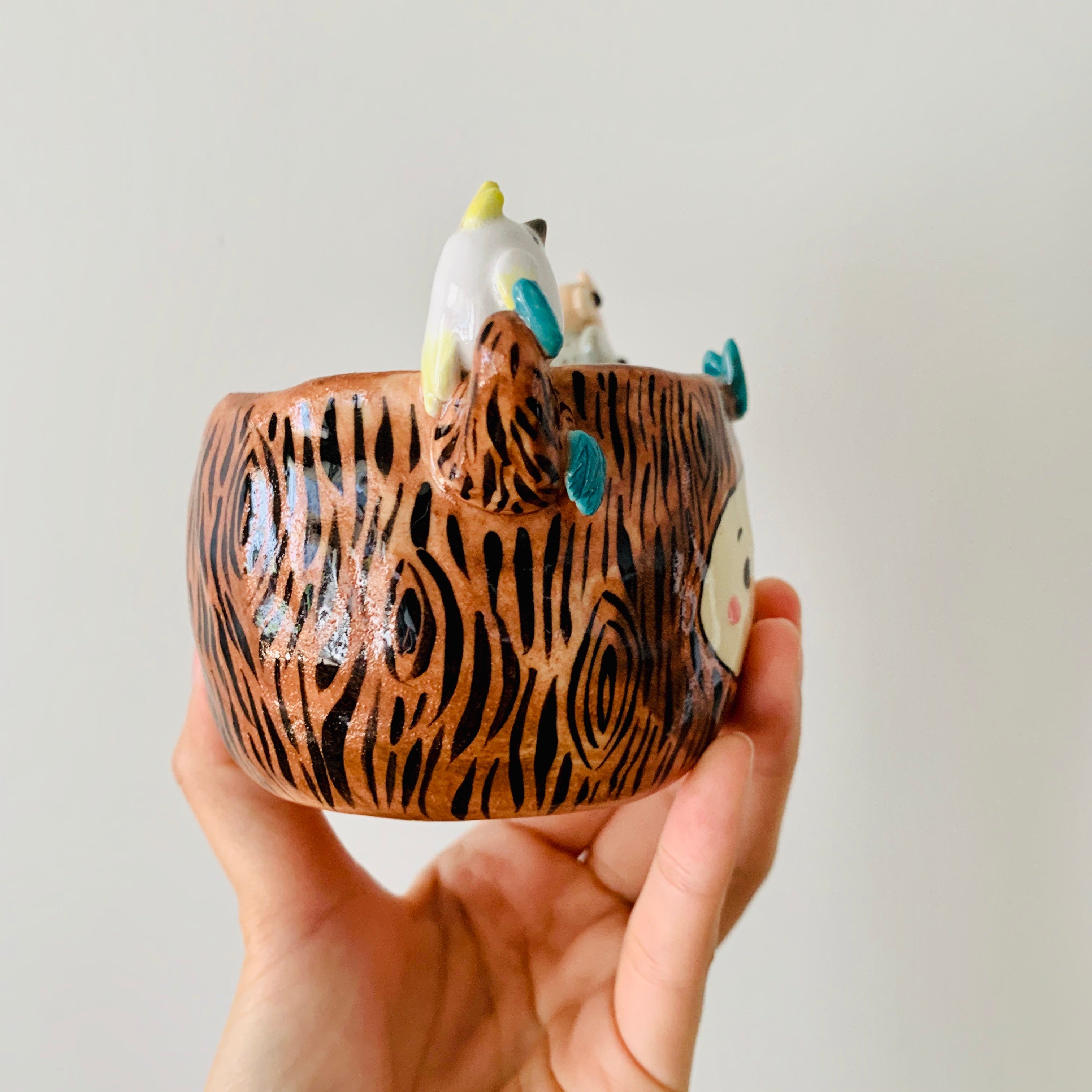 ‘Aussie Hope’ pot