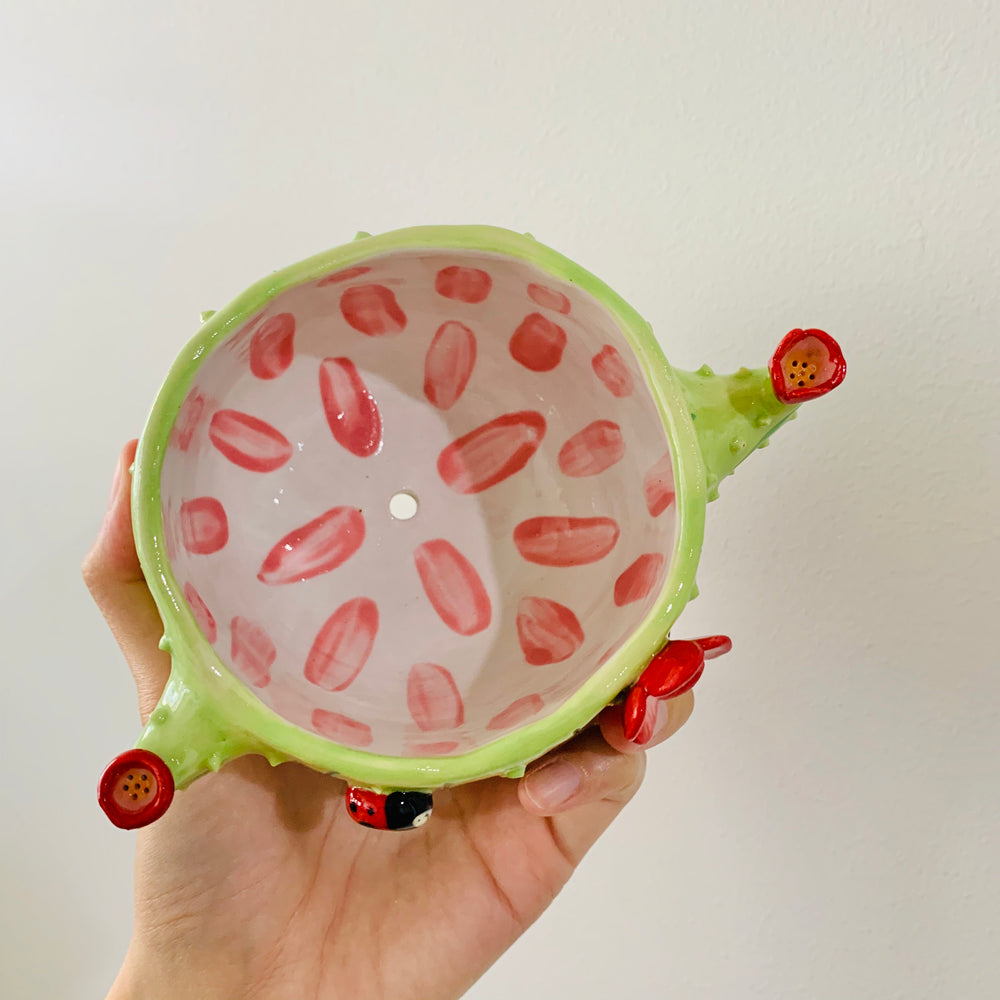 Flowery cactus pot with lady bug friends, photo 5 of 8