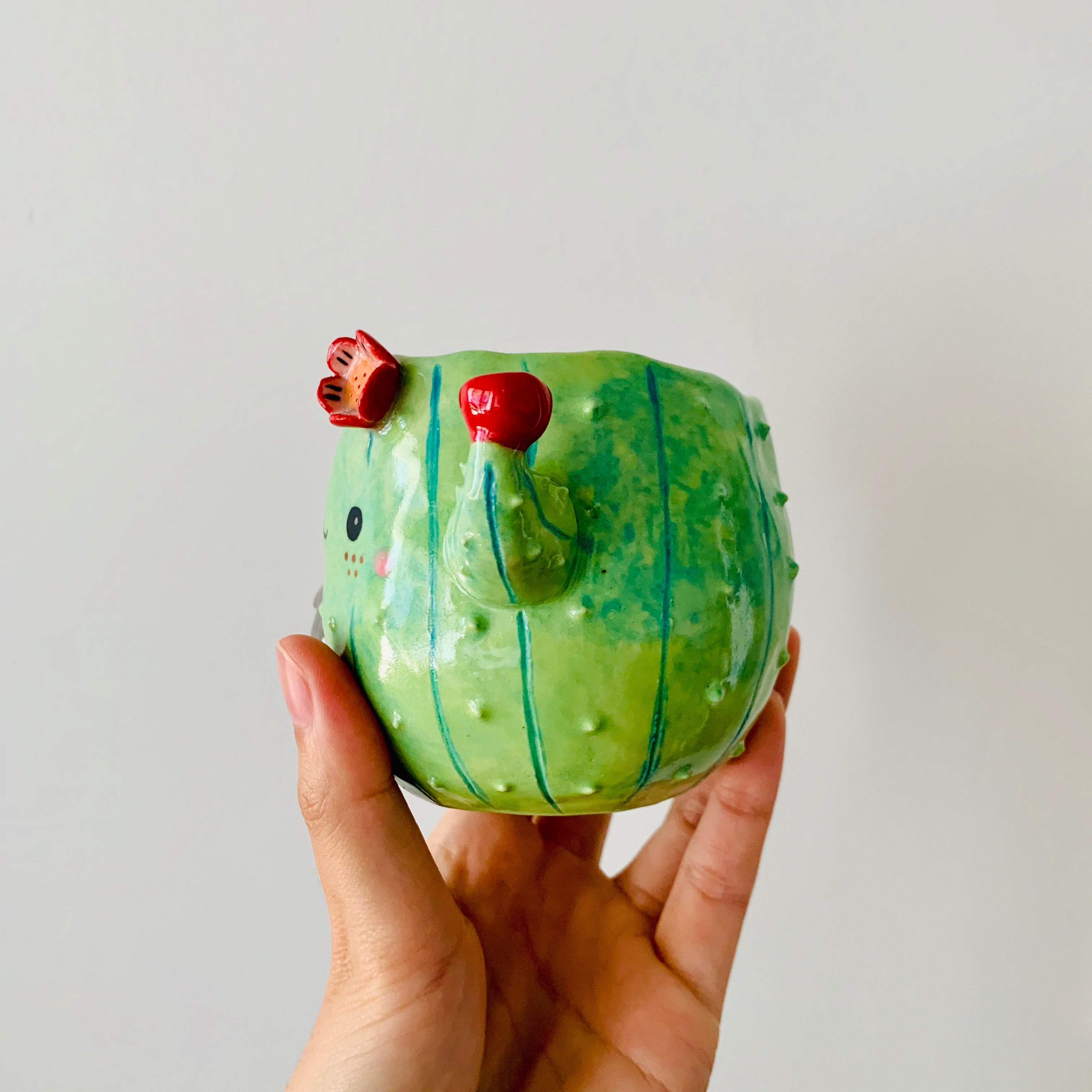 Flowery cactus pot with koala friend