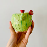 Flowery cactus pot