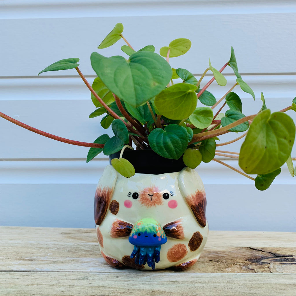 Big bunny with jellyfish friend planter