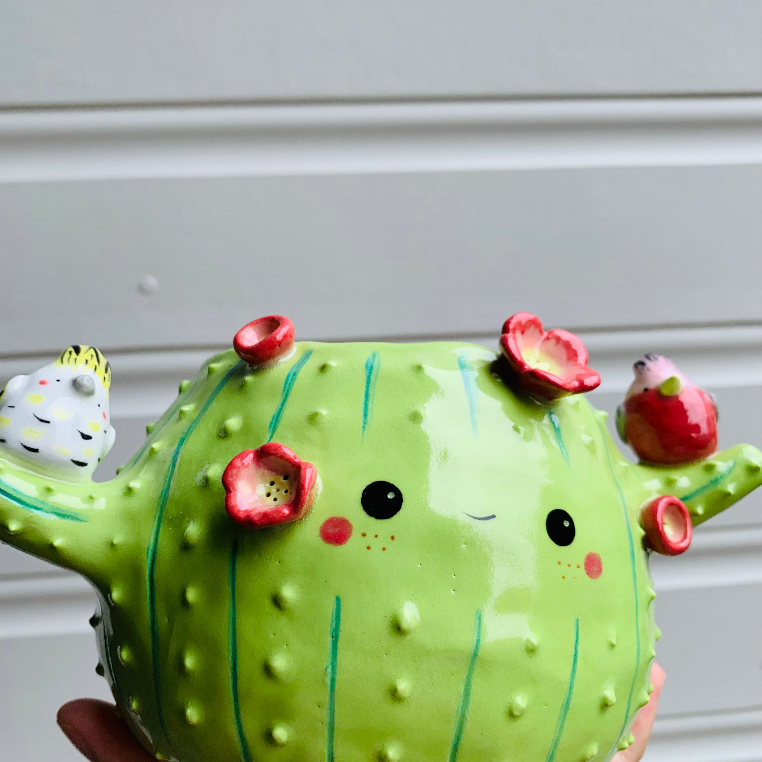 Flowery cactus pot with Aussie bird friends