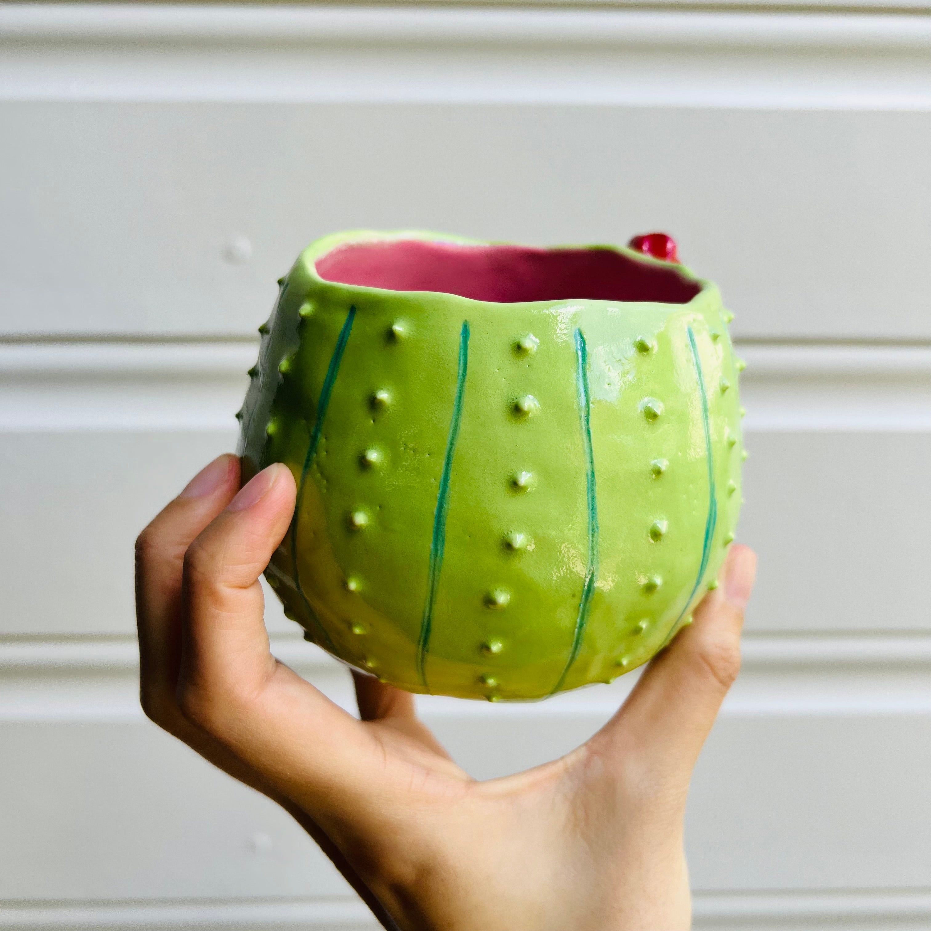 Flowery Cactus pot with koala friend