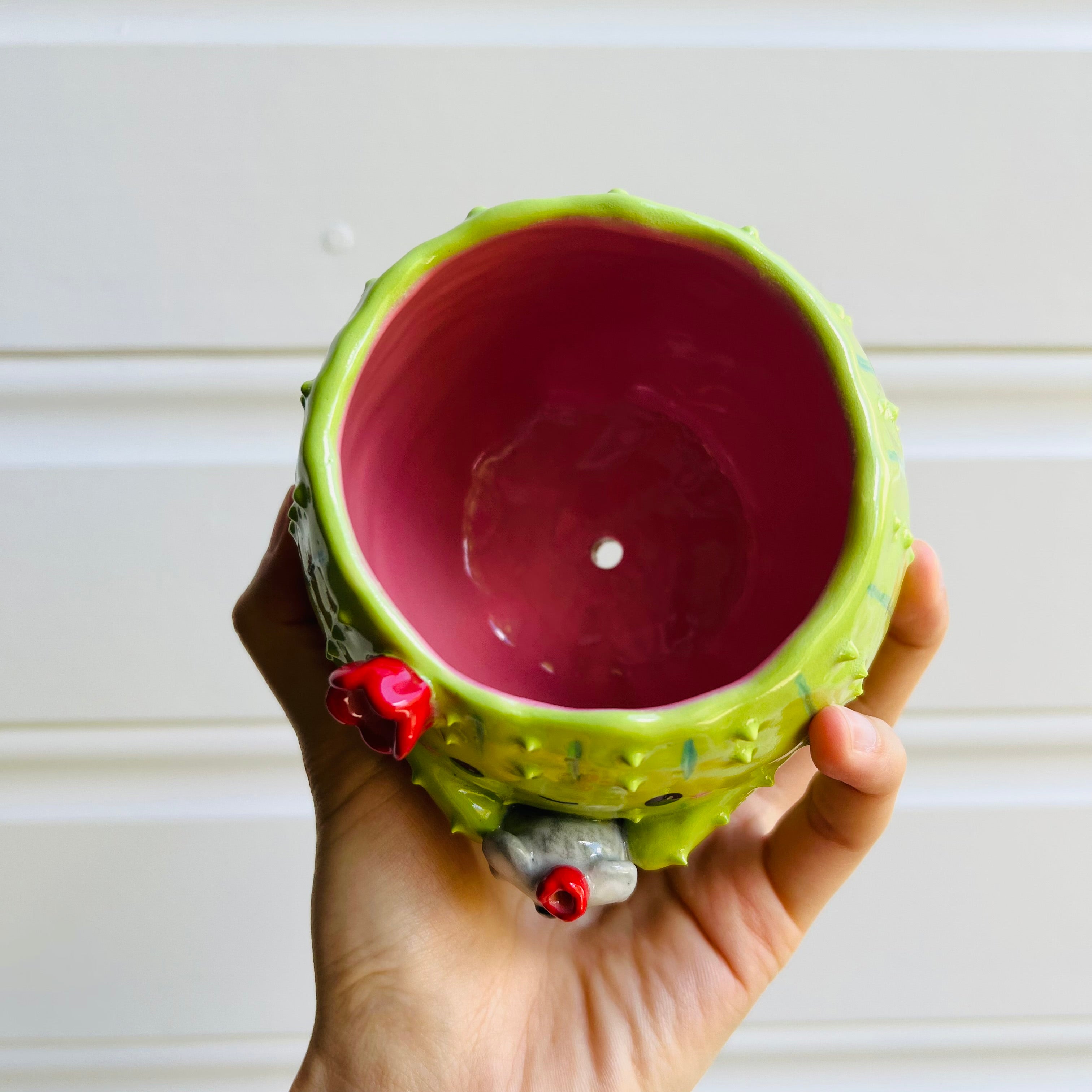 Flowery Cactus Pot with koala friend