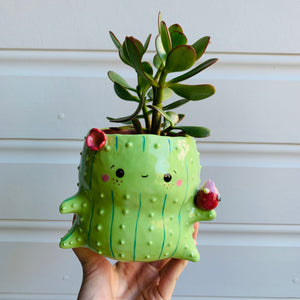 Peanut Cactus with Pink Galah Friend pot