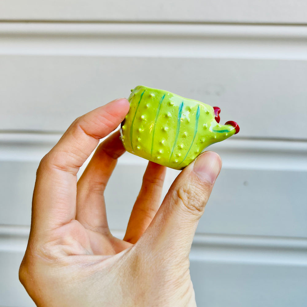 MINIS Flowery cactus pot, photo 5 of 5