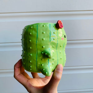 Peanut Cactus with Pink Galah Friend pot