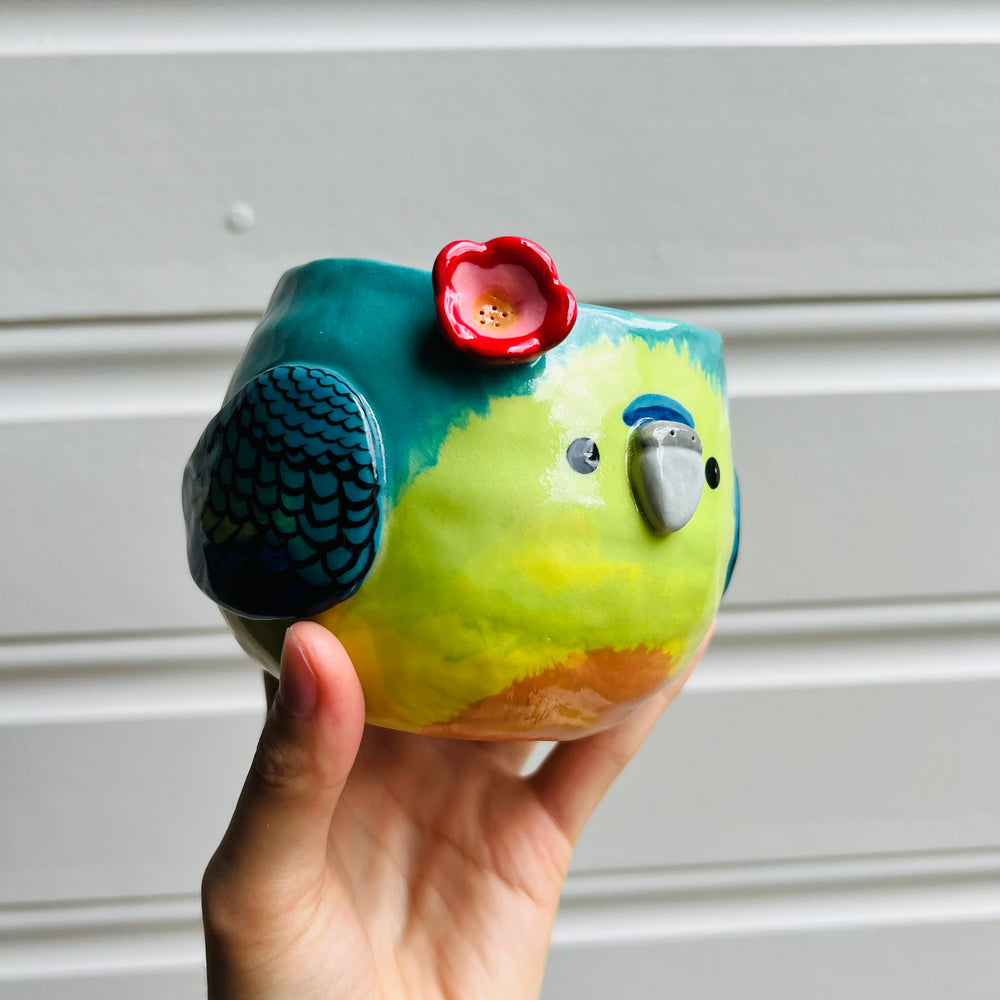 Orange Bellied Parrot pot, photo 4 of 10