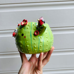 Flowery cactus pot with Aussie bird friends