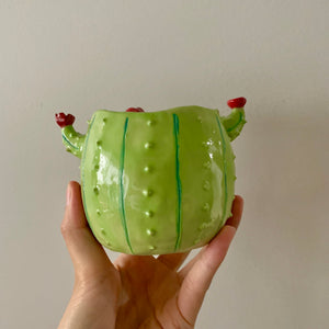 Flowery cactus pot with pig friend