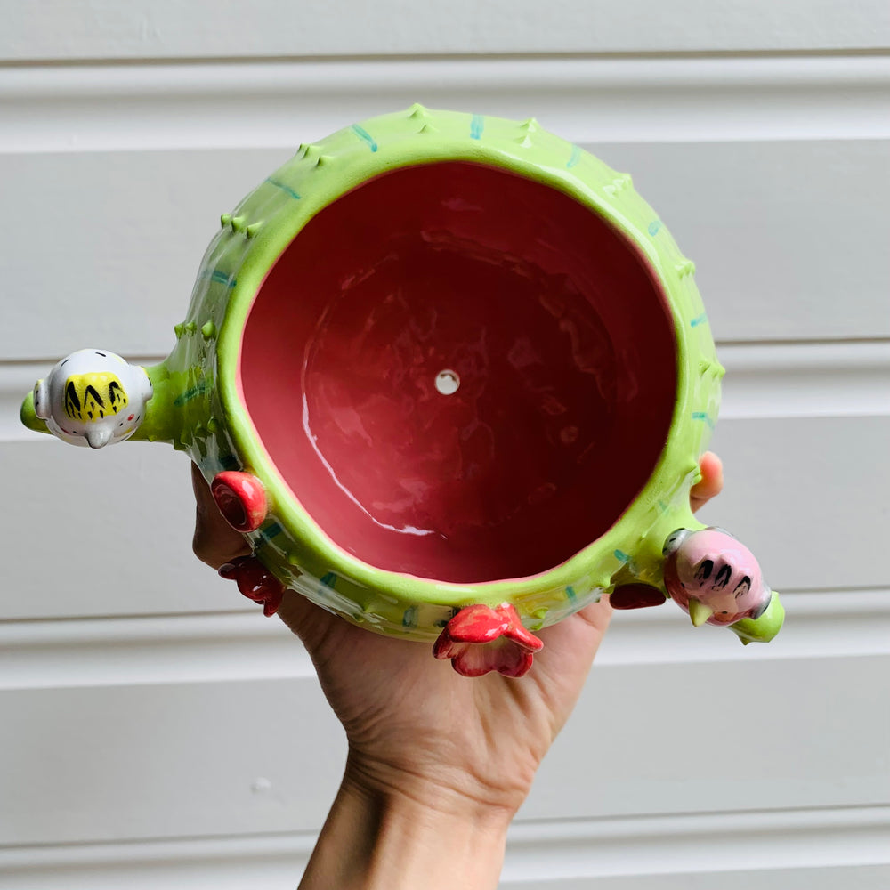 Flowery cactus pot with Aussie bird friends, photo 6 of 7