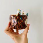 ‘Aussie Hope’ pot
