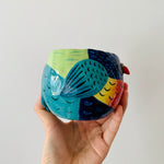 Rainbow lorikeet pot