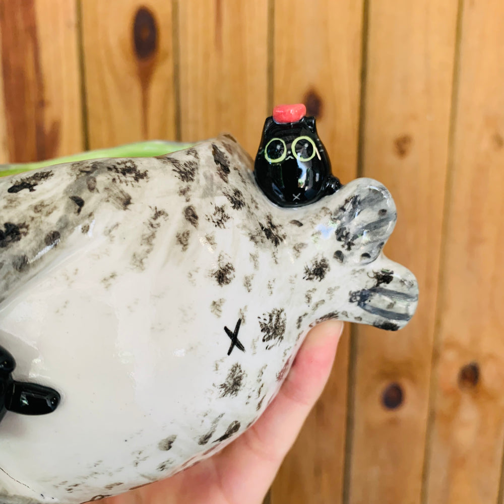 Chubby spotted seal with black cat friends pot, photo 7 of 7