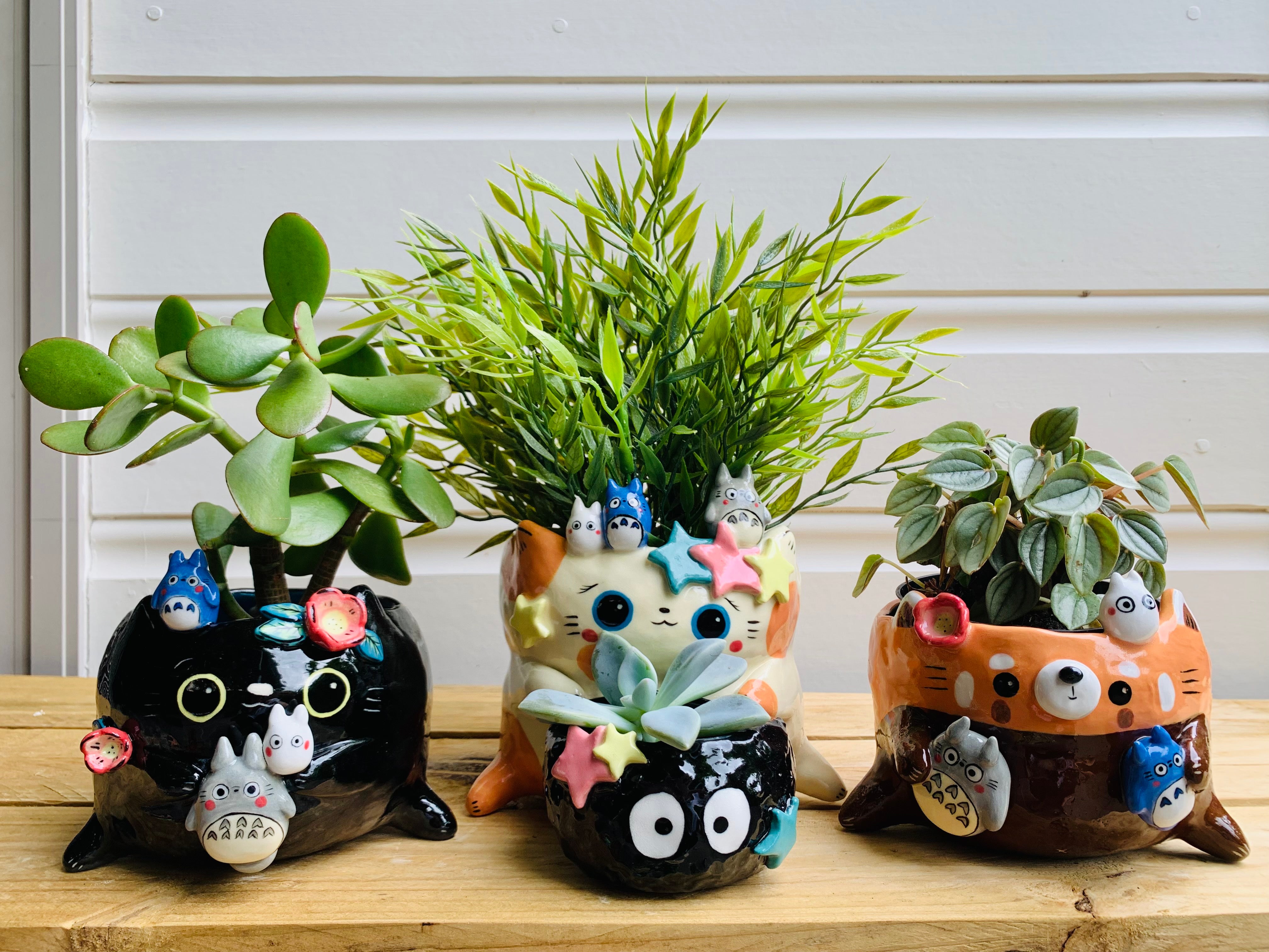 Flowery black cat pot with Totoro friends