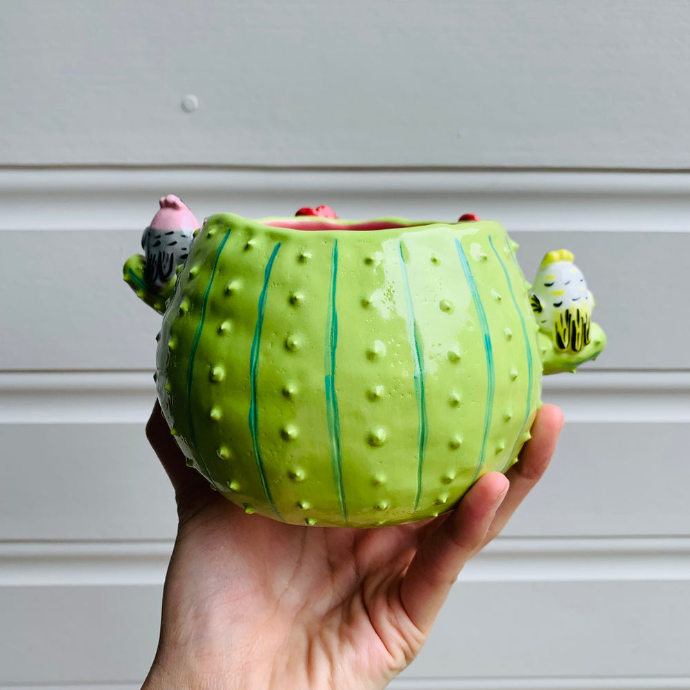 Flowery cactus pot with Aussie bird friends, photo 6 of 7