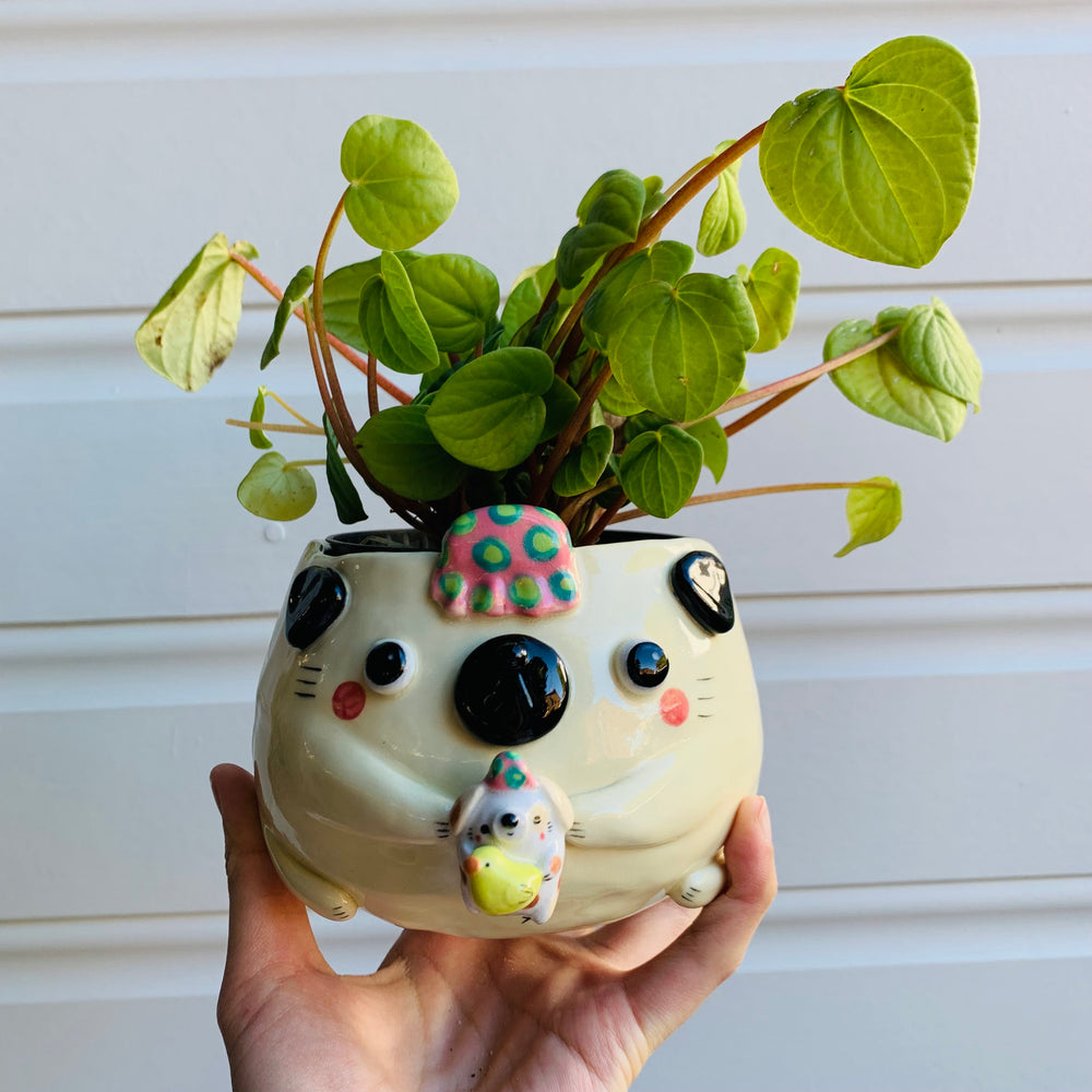 Bath time Puggo with doggo friend pot, photo 2 of 7