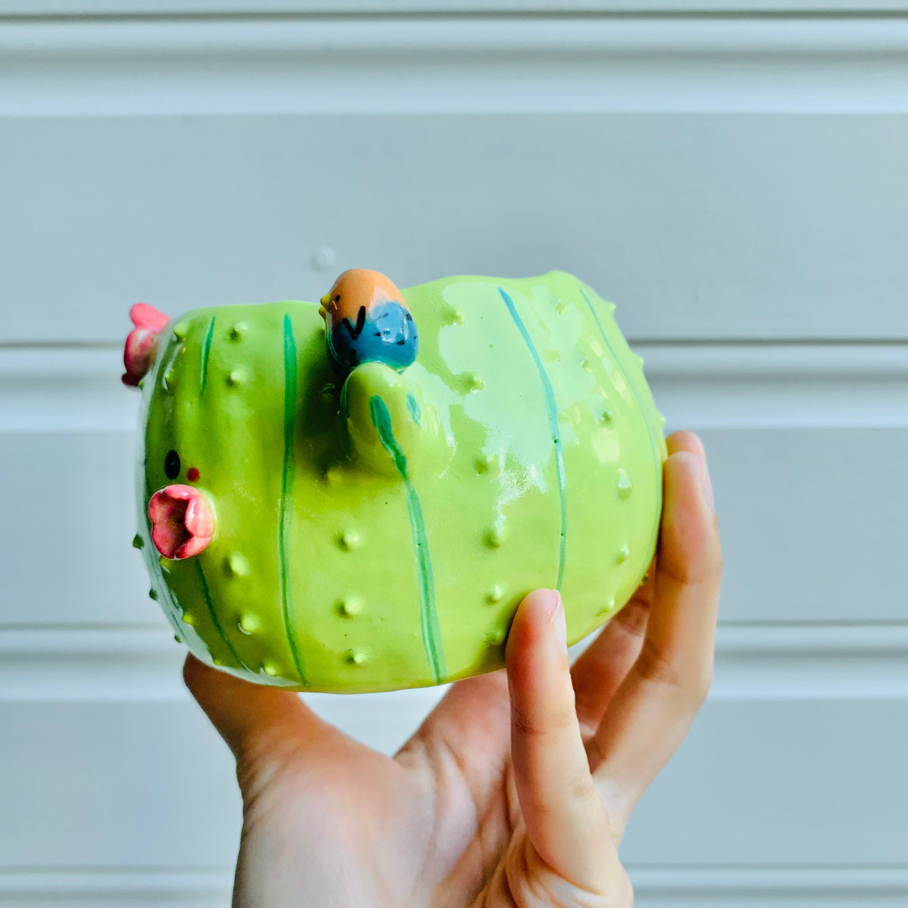 Flowery cactus pot with bird friends