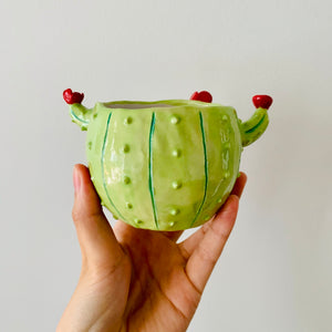 Flowery cactus pot