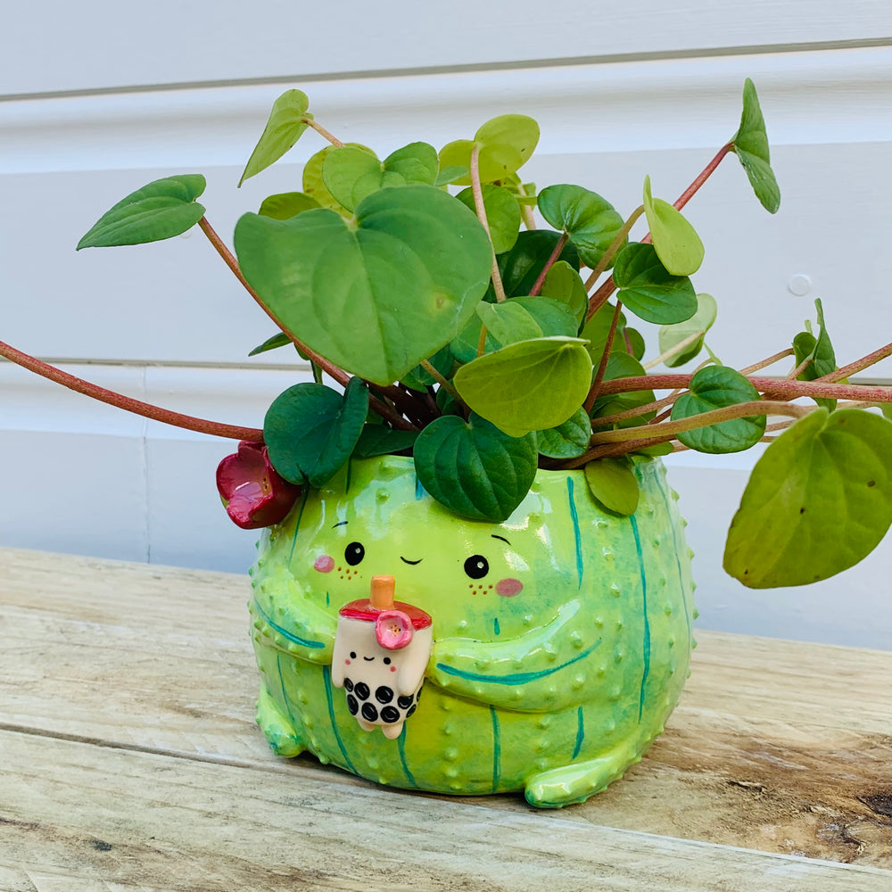 Dark green flowery cactus with bubble tea friend planter, photo 7 of 10