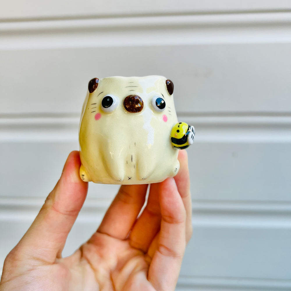 MINIS Puggo with bee friend, photo 1 of 5