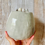 Flowery TOTORO POT with dumpling friends