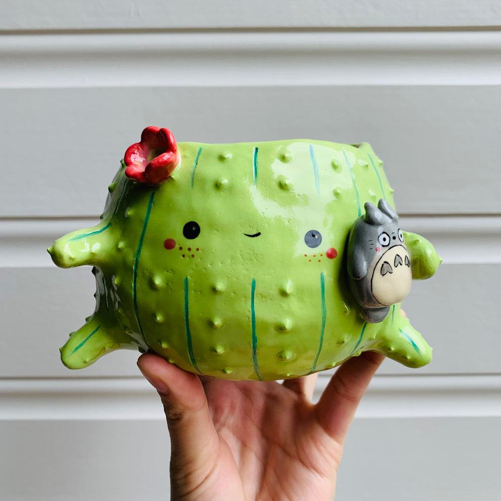 Rotund flowery pot cactus Totoro friend, photo 1 of 6