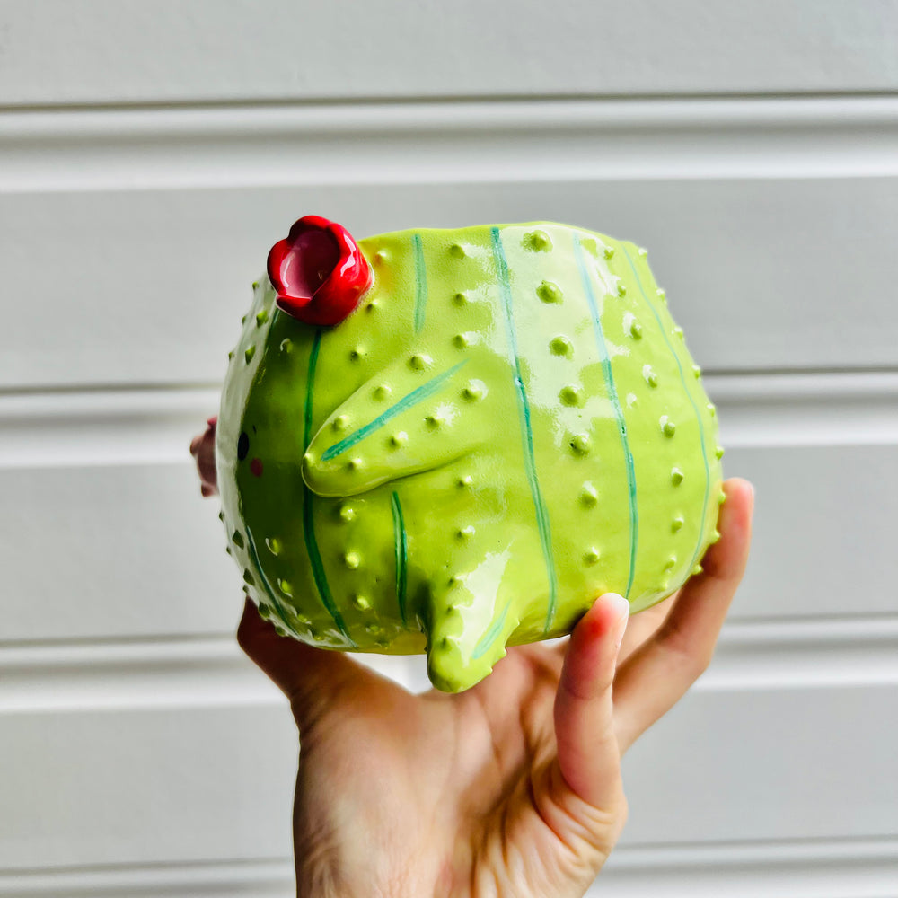 Large Flowery cactus pot with pig friend, photo 4 of 6