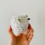 Cockatoo with koala friend pot