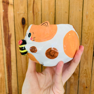 Spotty cat pot with bee friend