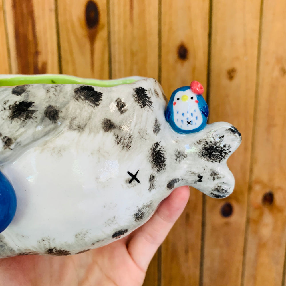 Chubby spotted seal with penguin friends pot, photo 7 of 7