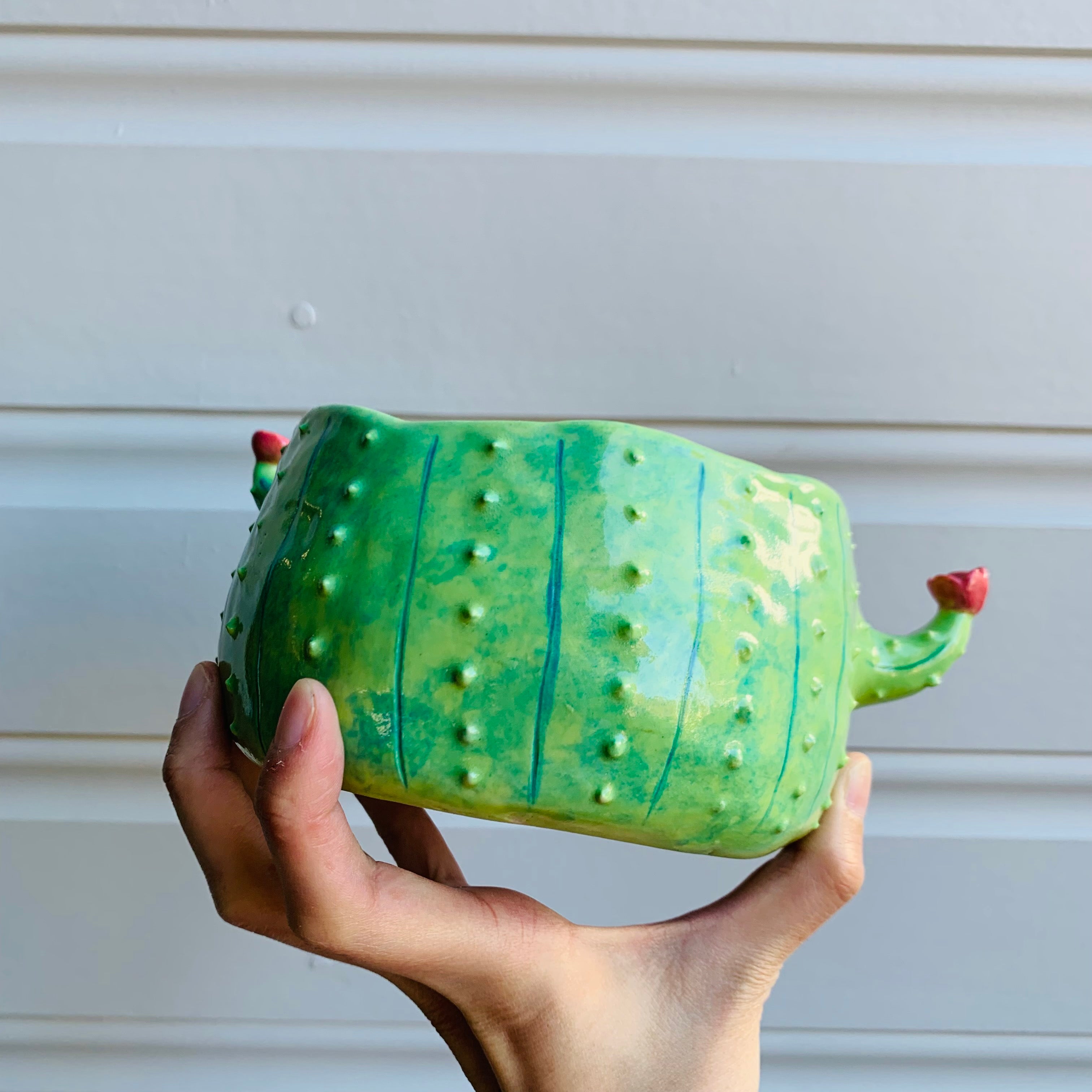 Dark green flowery cactus pot with Totoro friends