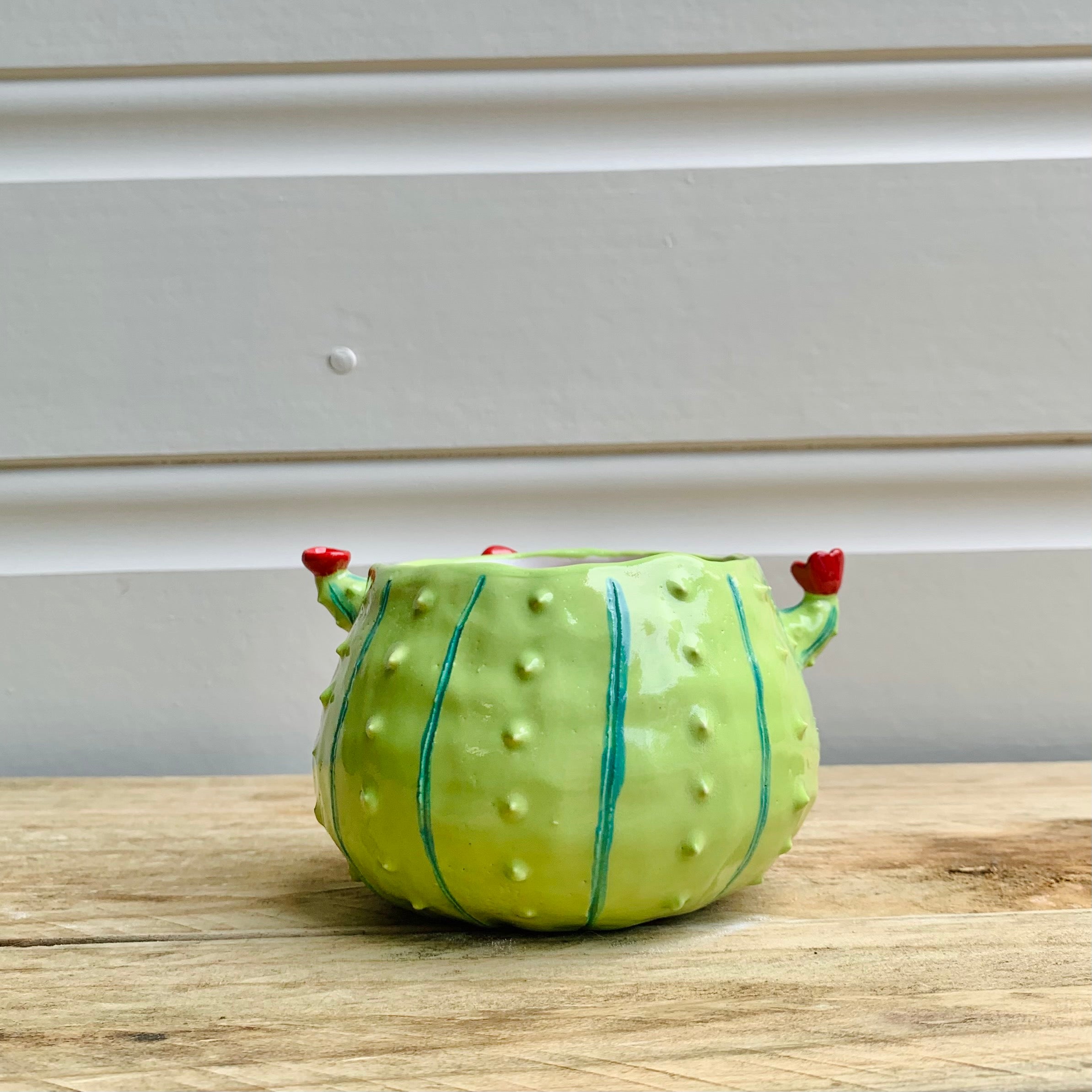 Flowery Cactus Pot