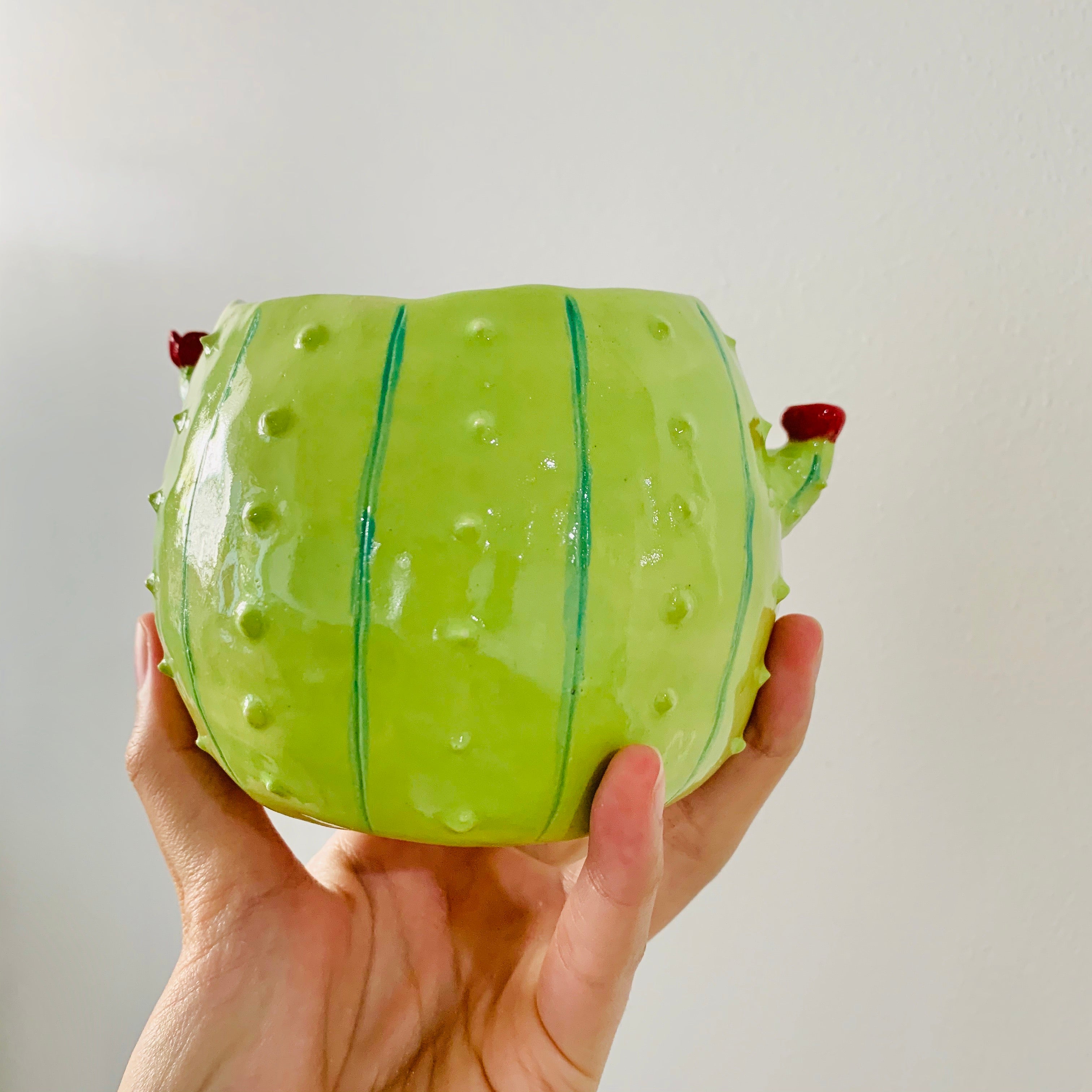 Flowery cactus pot with cat friends