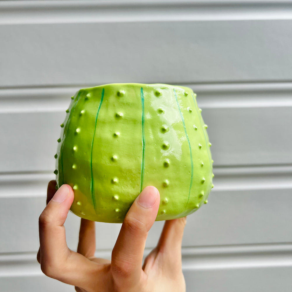 Halloween cactus pot with pumpkin friend, photo 4 of 6