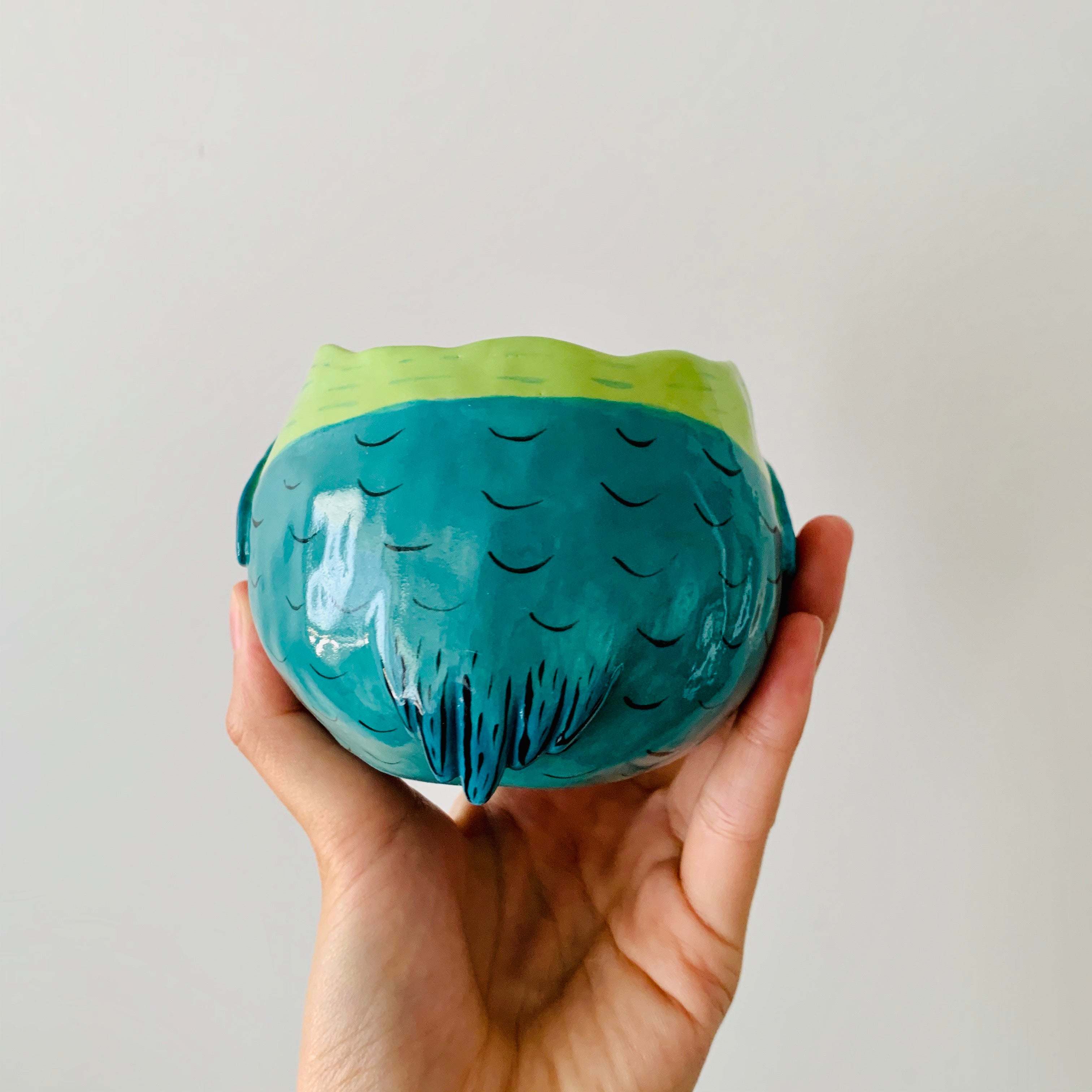 Rainbow lorikeet pot