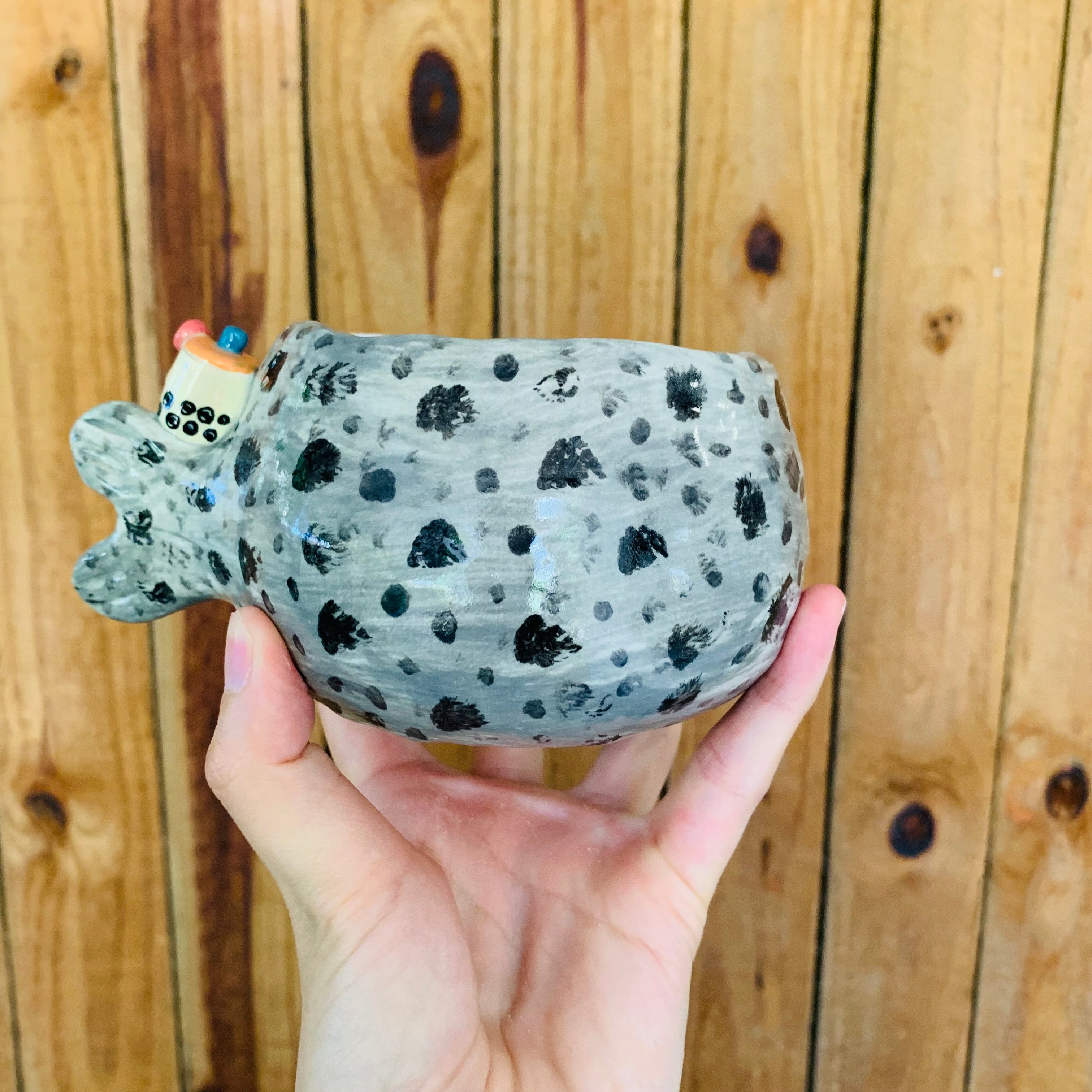 Chubby spotted seal with bubble tea friends pot