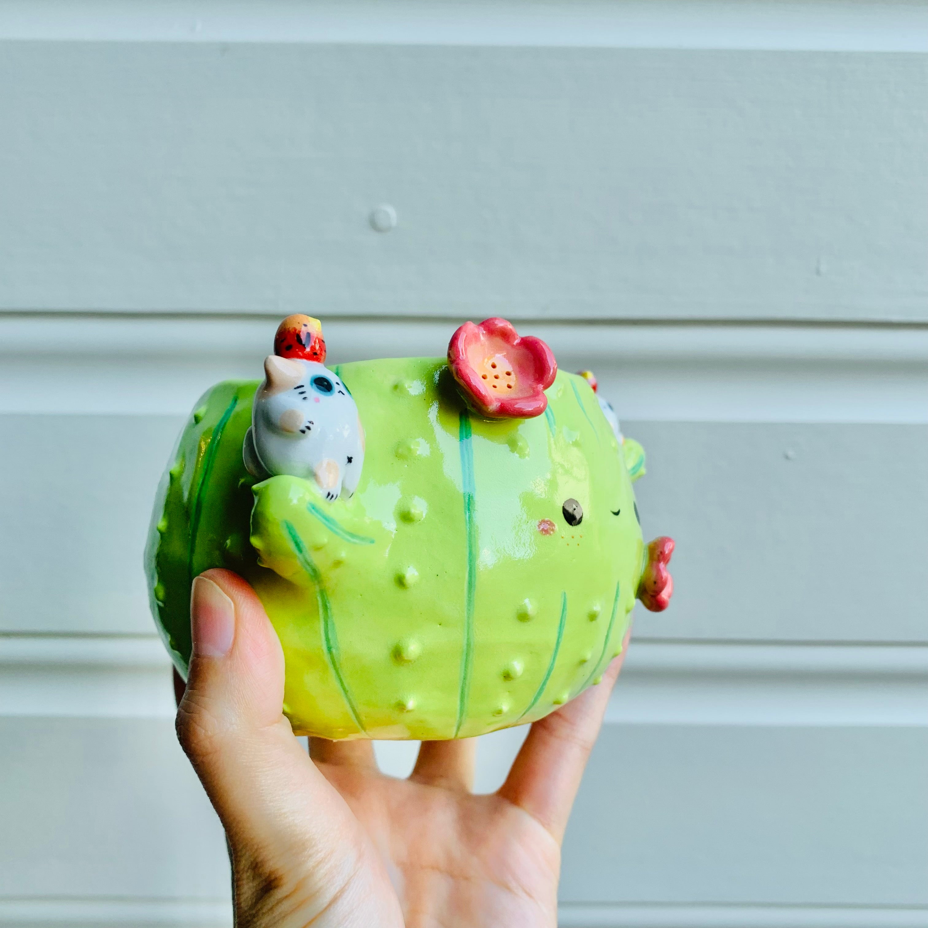 Flower cactus pot with cat and bird friends